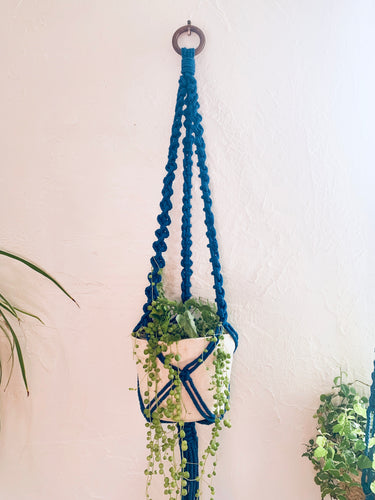 suspension plante zoé bleu roi atelier plumbago