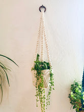Charger l&#39;image dans la galerie, suspension plante zoé écru atelier plumbago
